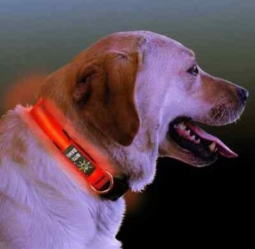 NiteDawg halsbånd med lys